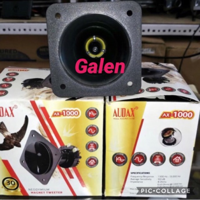 Audax ax 1000 tweeter magnet neodymium