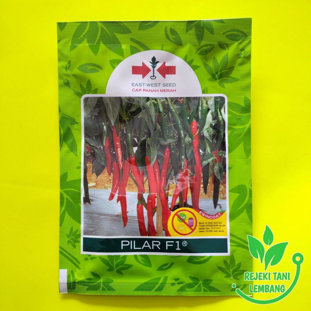 Benih Cabai Besar//Benih Cabai Besar Pilar F1 cap Panah Merah