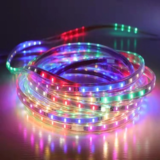 LAMPU LED STRIP ROPE LED 3528 220v(1m~100m) RGB IP66 METERAN 6 WARNA (LAMPU TIKTOK)