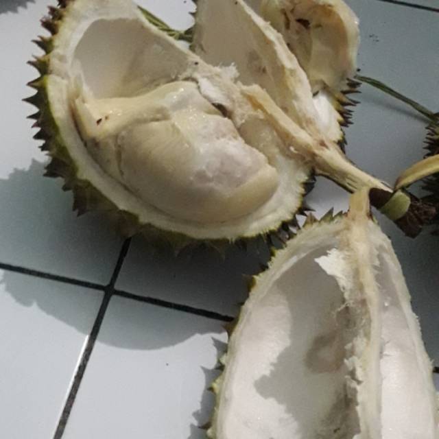 

Duren fress