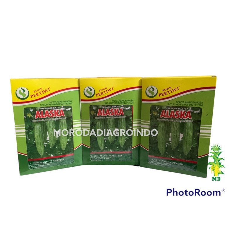 BENIH PARIA/PARE ALASKA F1 10 gram PERTIWI