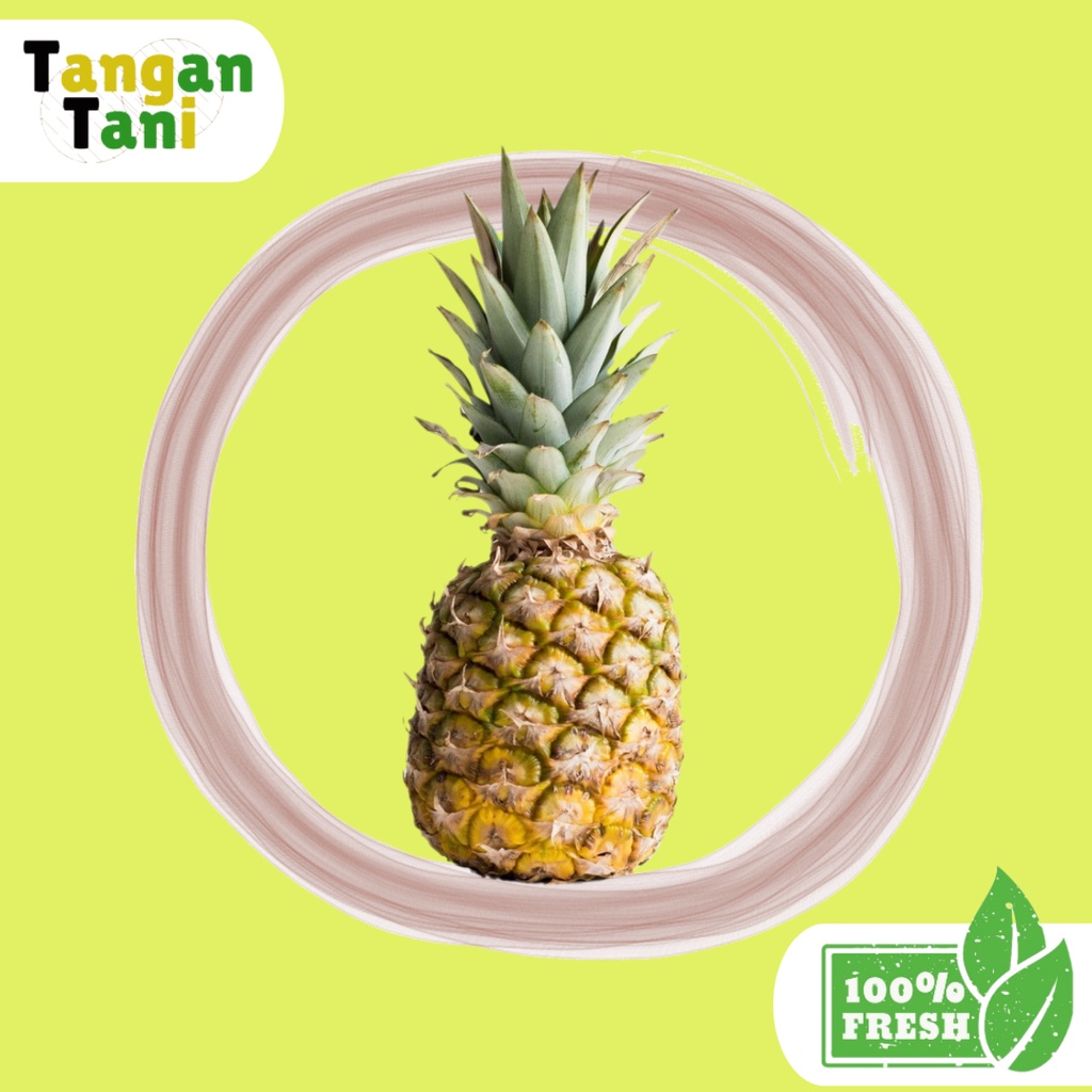 

Nanas Madu 1 Pcs