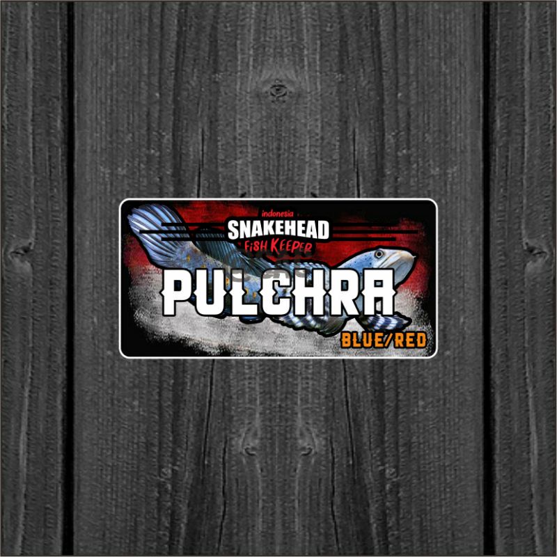 

Stiker ikan | Pulchra name