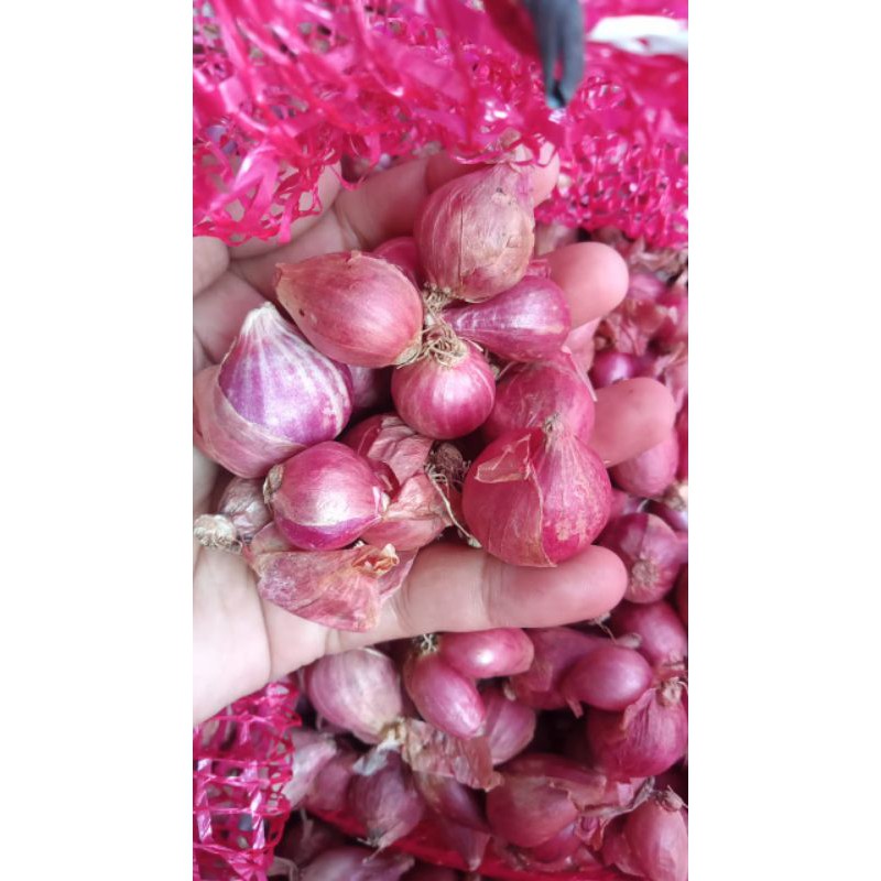 

Bawang merah brebes kering 1kg