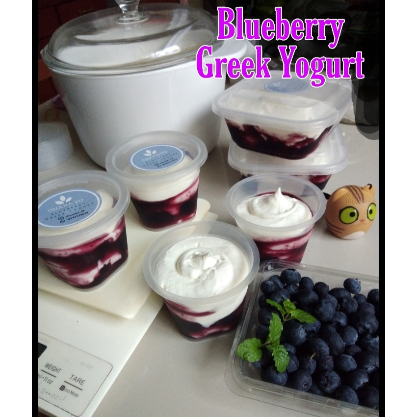 

GREEK YOGURT BLUEBERRY