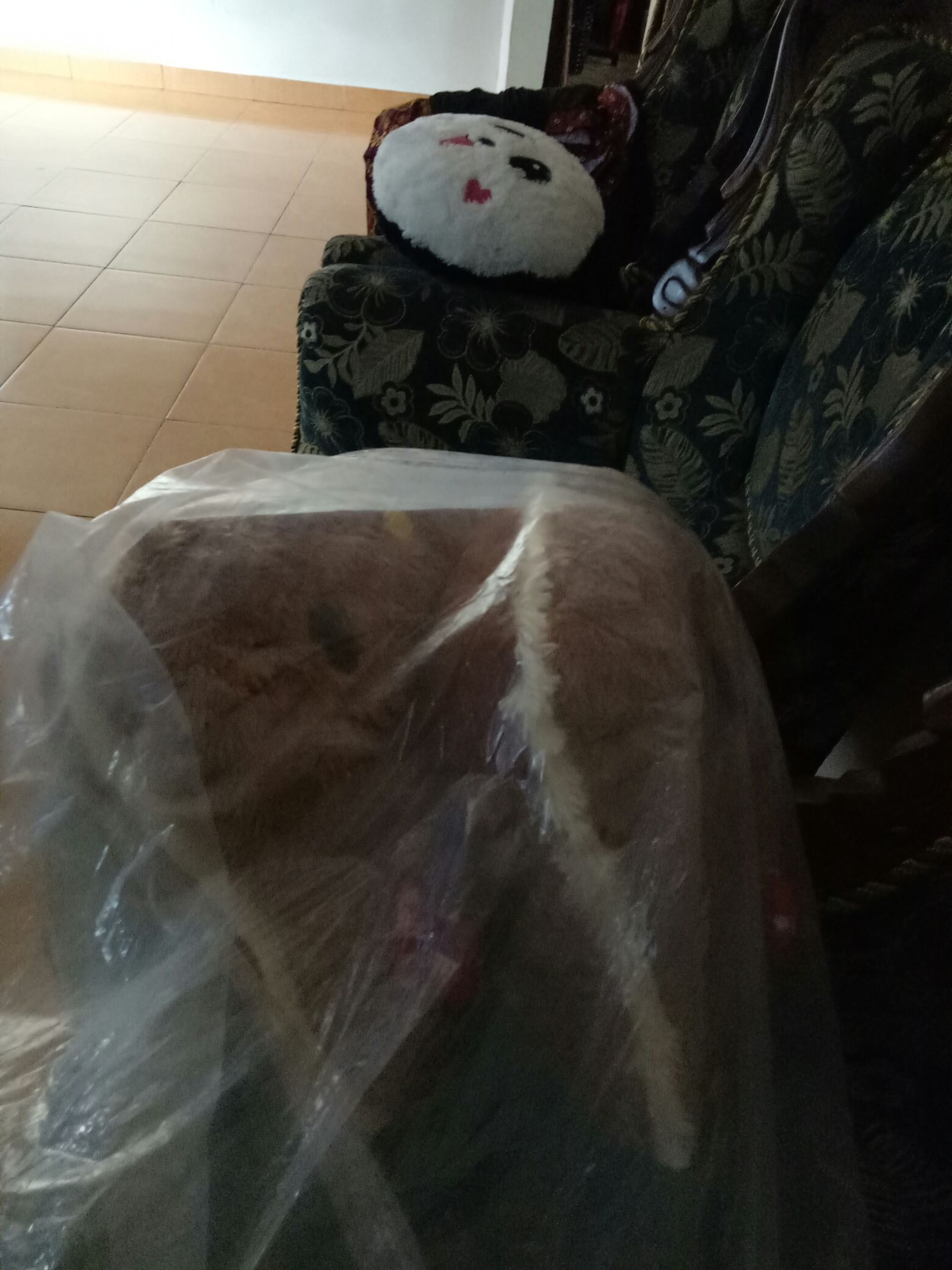 Bantal  Hello Kitty Full Coklat