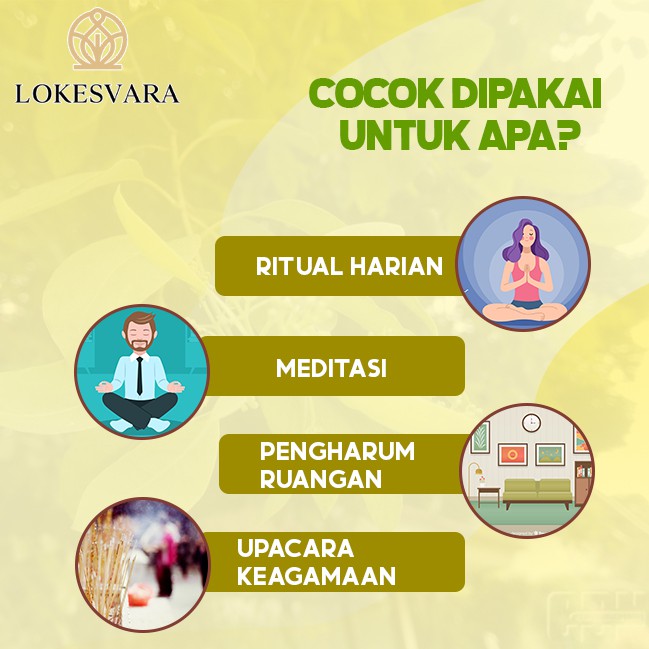 Dupa/Hio Wangi Harum Sukhavati Cendana China 3 Jam 61 Batang 48 cm