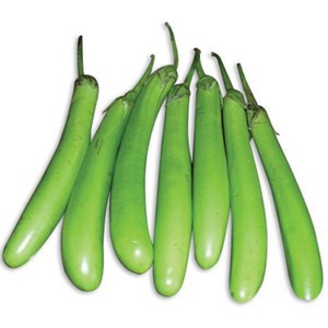 Murah Benih Biji Bibit Lokal Unggu Terong Hijau