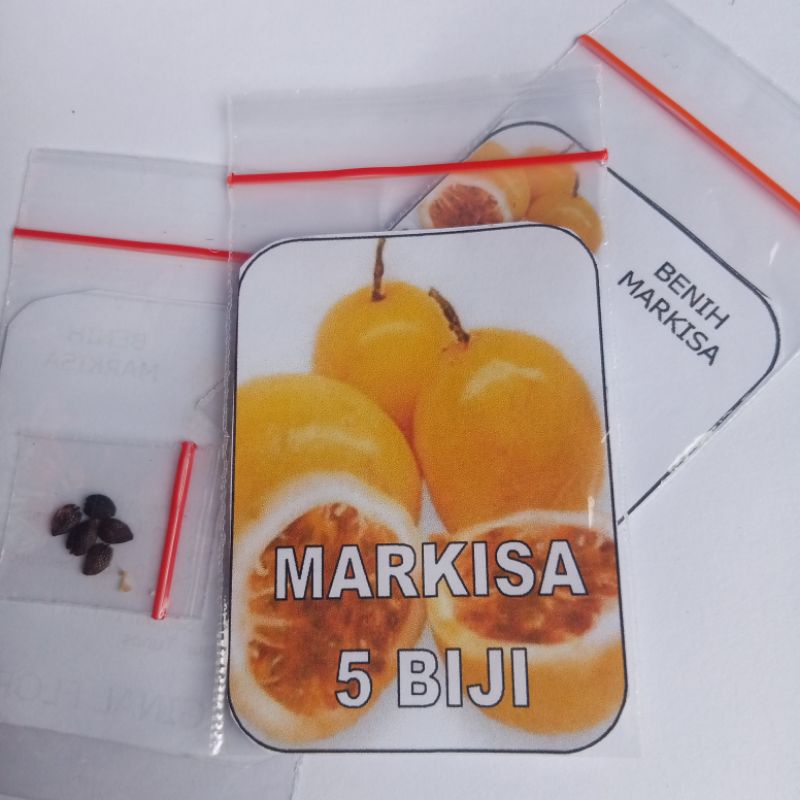 Biji Markisa Benih Markisa Buah Markisa Siap Semai