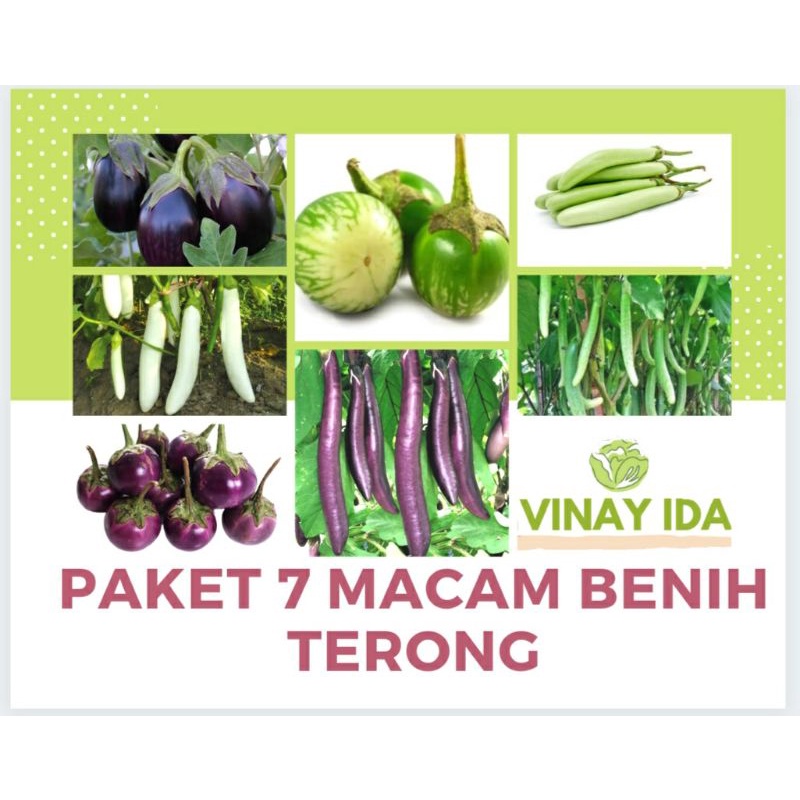 PAKET 7 MACAM BENIH BIBIT TERONG. TERONG UNGU, TERONG HIJAU, TERONG PUTIH, TERONG TELUNJUK, TERONG L