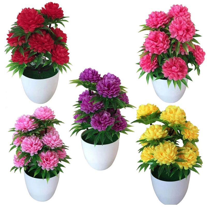 Pot Bunga crhysantemum 12 kuntum bunga hias vas plus bunga chrysanthemum