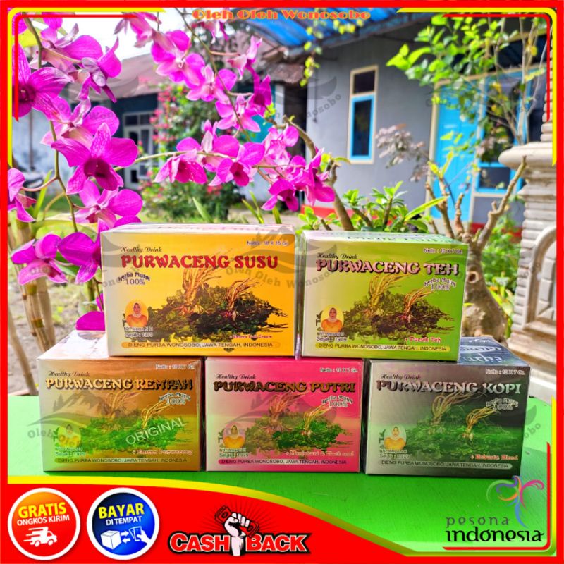 

PURWACENG DIENG PURBA ORIGINAL100% / BUBUK MINUMAN HERBAL KHAS DIENG WONOSOBO