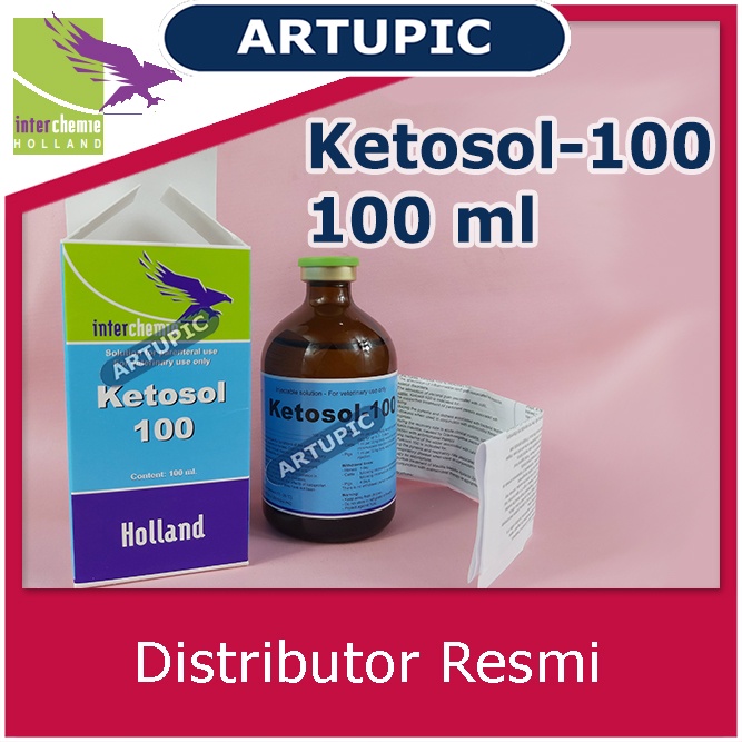 Ketosol-100  100 ml Anti inflamasi Anti Radang Babi Sapi Kuda Holland pengganti phenilject Mengurangi demam infeksi gangguan pernapasan Mengurangi nyeri organ Pengobatan suportif setelah melahirkan