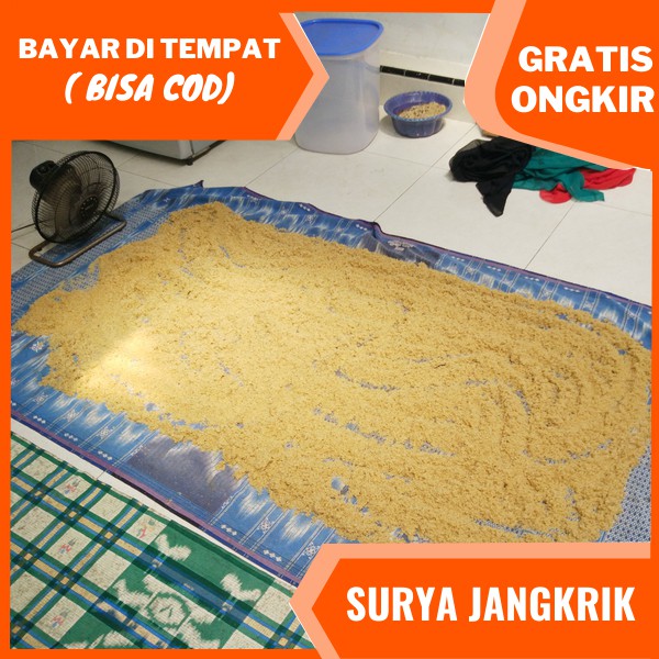 jual telur jangkrik medan telur jangkrik alam kualitas super