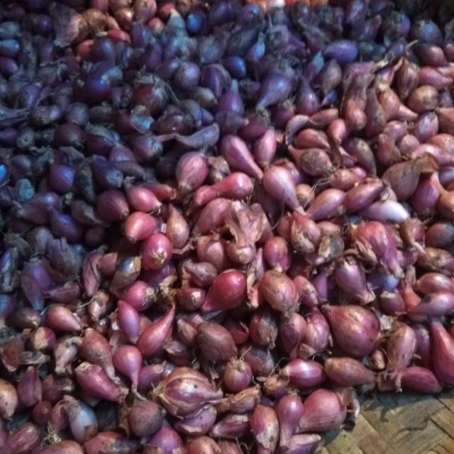 

Jual bawang merah segar min 500gram