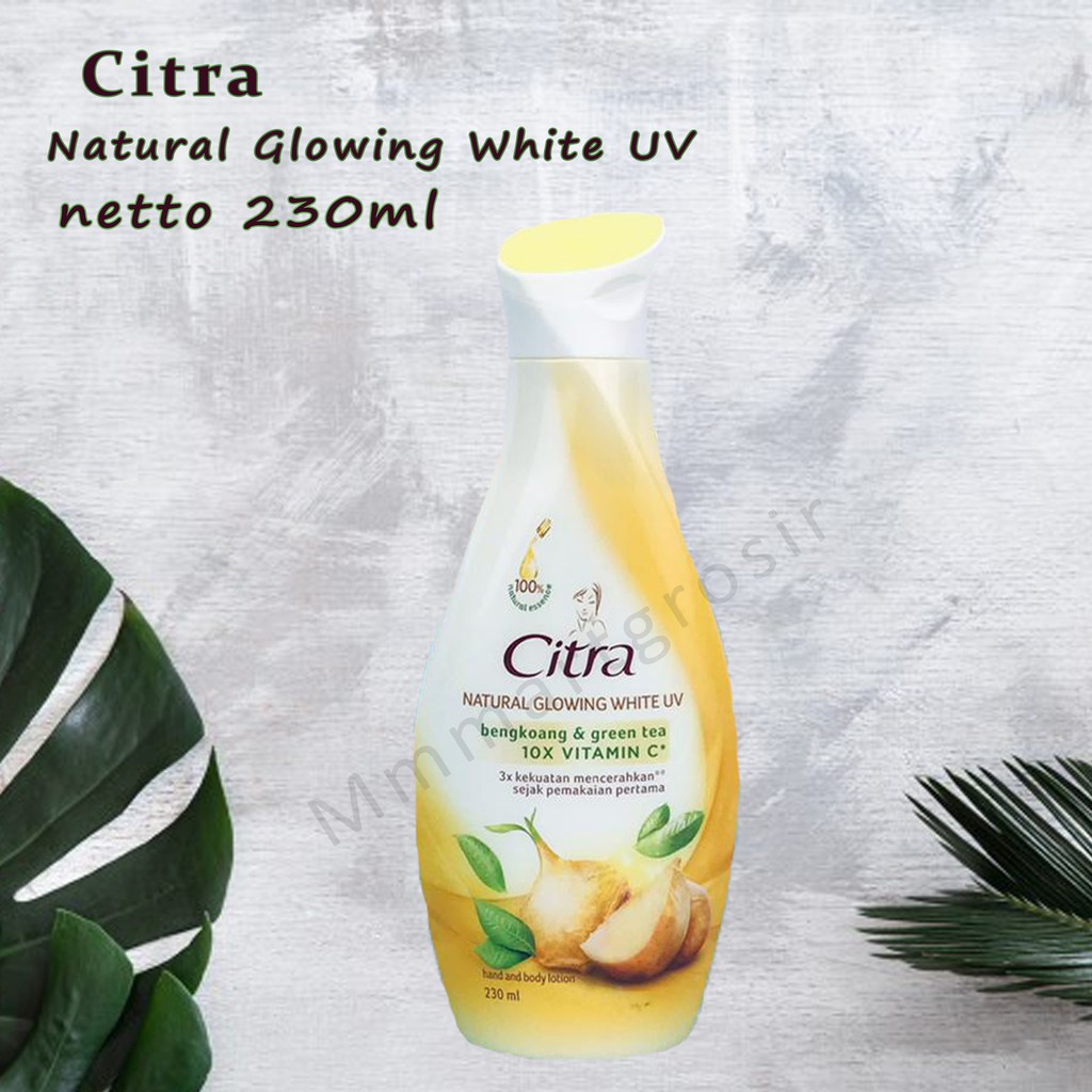 Citra / Body lotion / Korean pearl &amp; Mulberry / Bengkoang dan grean tea / Aloe Vera &amp; White Rose 230ml