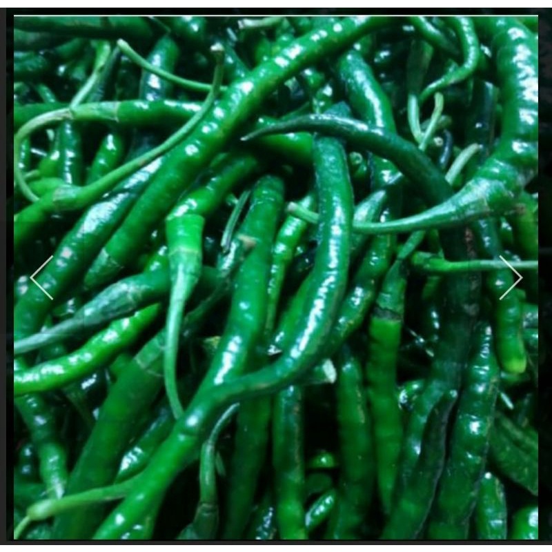 

cabe/cabe segar/cabe hijau/cabe hijau segar/cabe segar500g