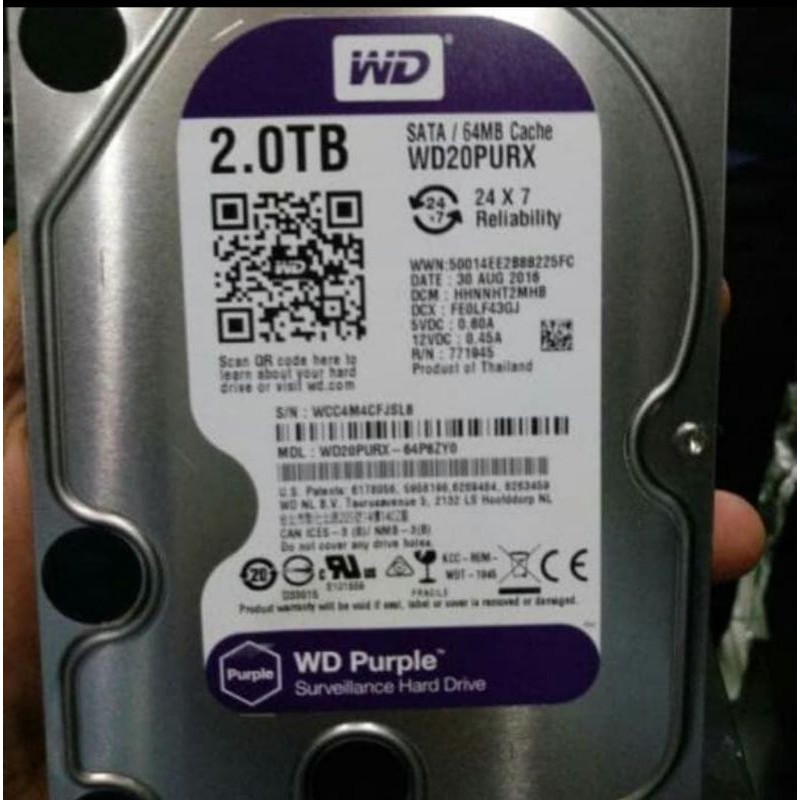 hardisk WD 2tb