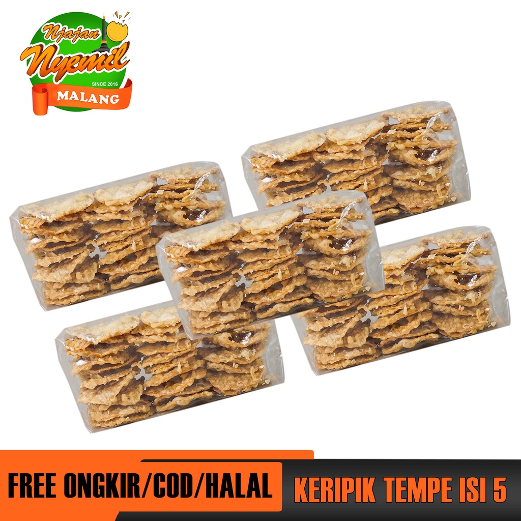 

PAKET KERIPIK TEMPE ISI 5