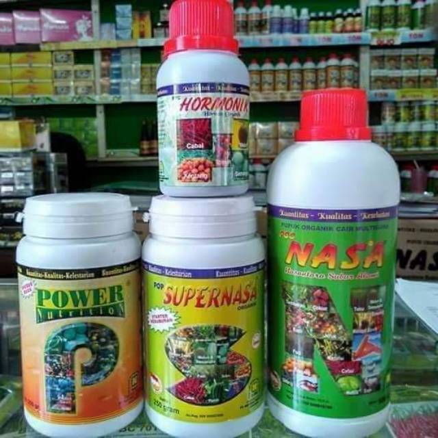 Pupuk Jambu Air Jamu Kristal Jambu Biji/Cengkeh/Pupuk Pelebat Buah /Nasa Resmi Jakarta