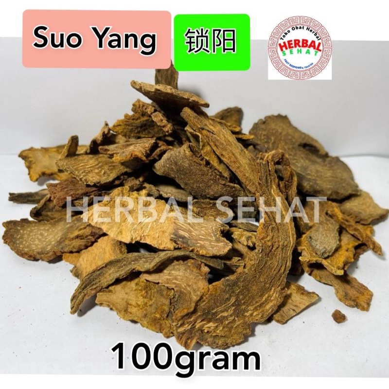 

100 gram Suo Yang Pian Jiu Suo Yang So Jong Herba Cynomorii Songarici