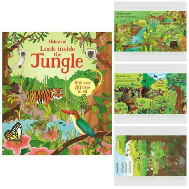 Look Inside Jungle