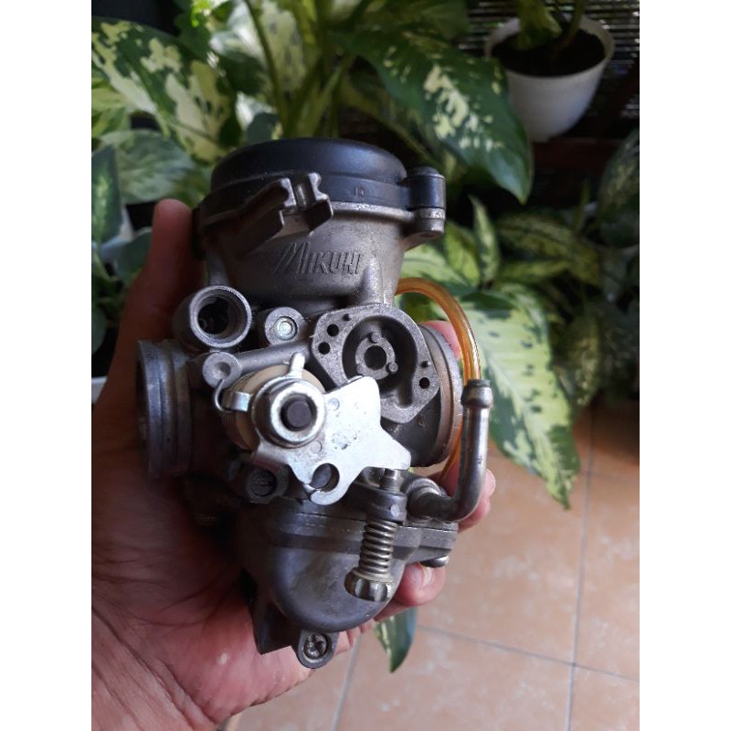 karbu ori.copotan byson