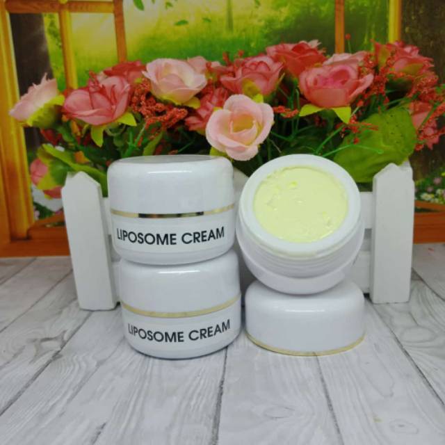 LIPOSOME CREAM/CREAM ANTI AGING/ANTI KUSAM/ANTI ACNE