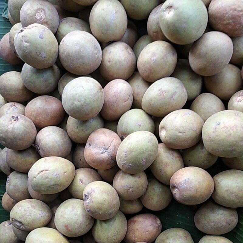 

Sawo matang buah