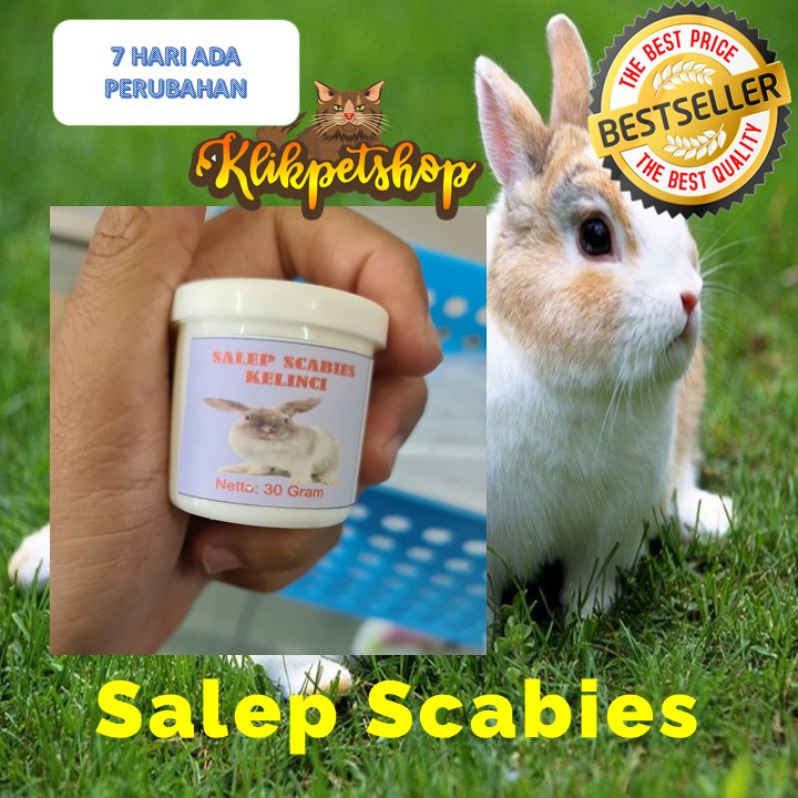 Salep Scabies Khusus Kelinci Jamur Koreng Gudig 30 gram