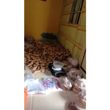 

Ubi Cilembu
