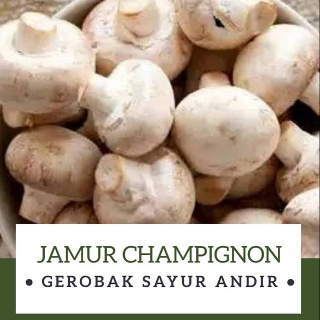 

Jamur Champignon /250gr