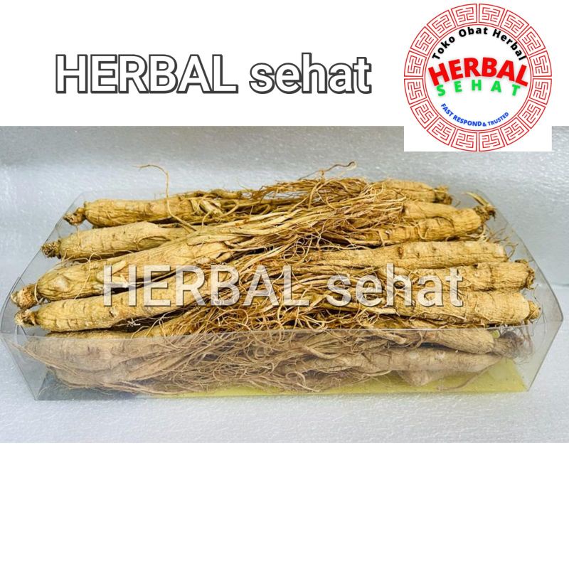 

AKAR GINSENG CINA UTUH 100 gram Sheng Sai Ren Shen