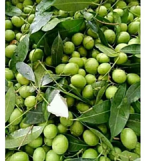 

[KODE PRODUK FZ6YC3755] BUAH GANDARIA BUAH JATAKE JENTAK MUDA 250 GRAM