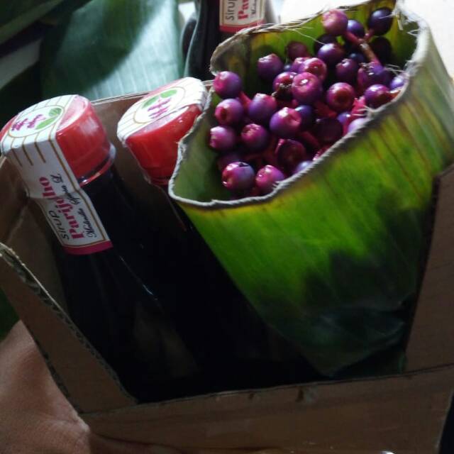 

Paket Promil 2 Sirup Parijoto 500 ml + 1/4 kg buah parijoto