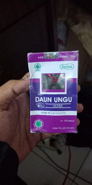 Obat Wasir Hiu Daun Ungu / Obat Ambeien / Obat Wasir Herbal / Kapsul Daun Ungu / Obat Ambeyen