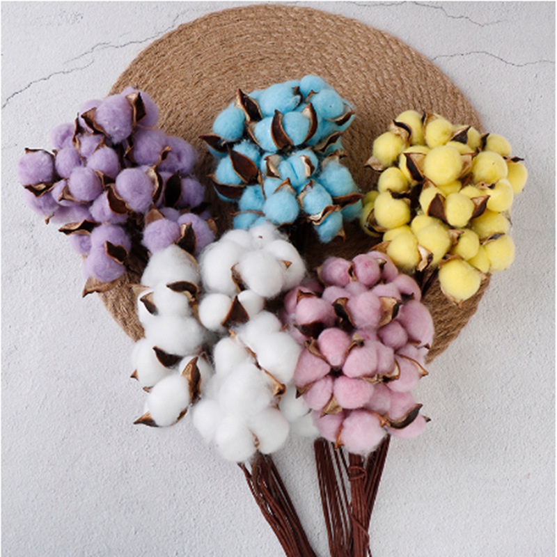 KB15 BUNGA KAPAS KERING / DRIED COTTON FLOWER ECER PER TANGKAI [1KG=171PCS]