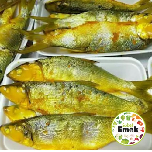 

Bandeng Presto per Ekor