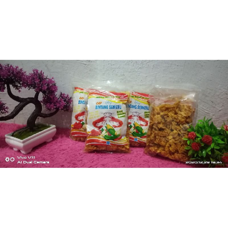 

marning gepeng bintang semeru/marning