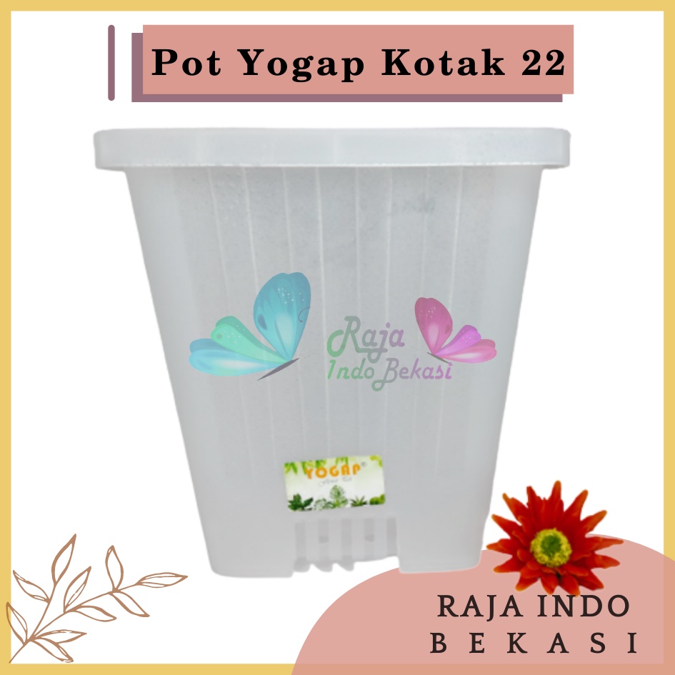 Pot Yogap Kotak 22 Transparan Bening Clear Pot Yogap 10 13 15 17 18 19 25 30 Pot Yogap Lusinan Pot Kotak Panjang Tinggi Pot Segi Empat Hias Panjang Plastik