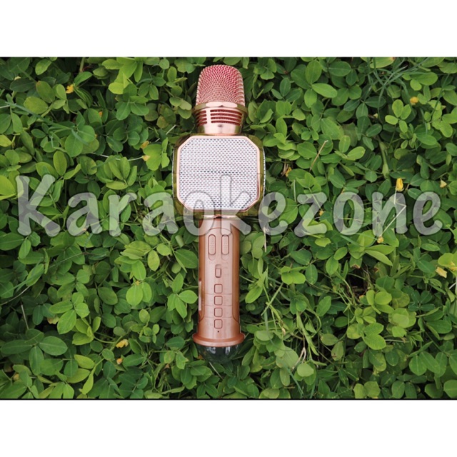 MICROPHONE BLUETOOTH SD-10L DISCO LIGHT