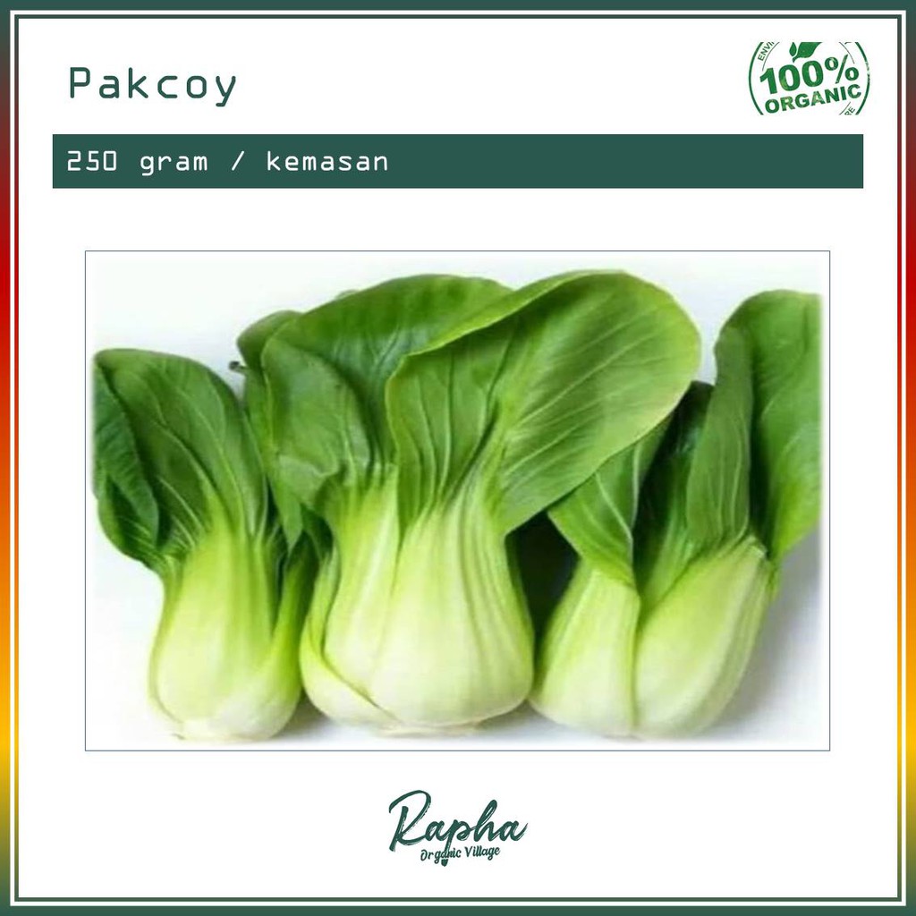 

Pakcoy Organik