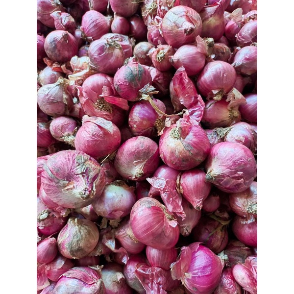 

PROMO COD TERMURAH BAWANG MERAH BREBES 1KG