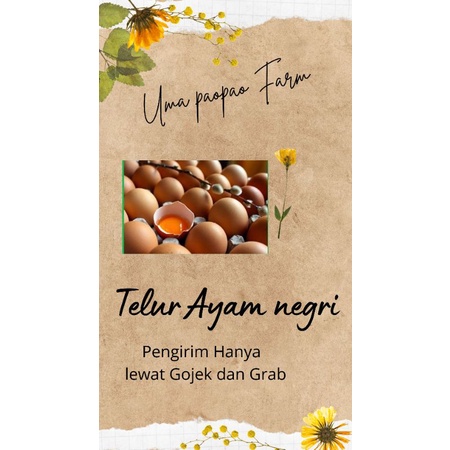 

Telur Ayam Negri termurah soloraya !!!!