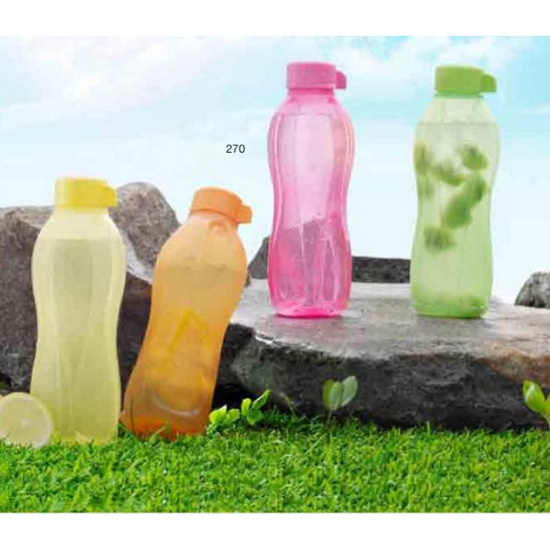 Botol minum Tupperware (500ml)