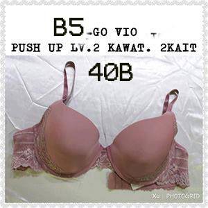

B5 GO VIO