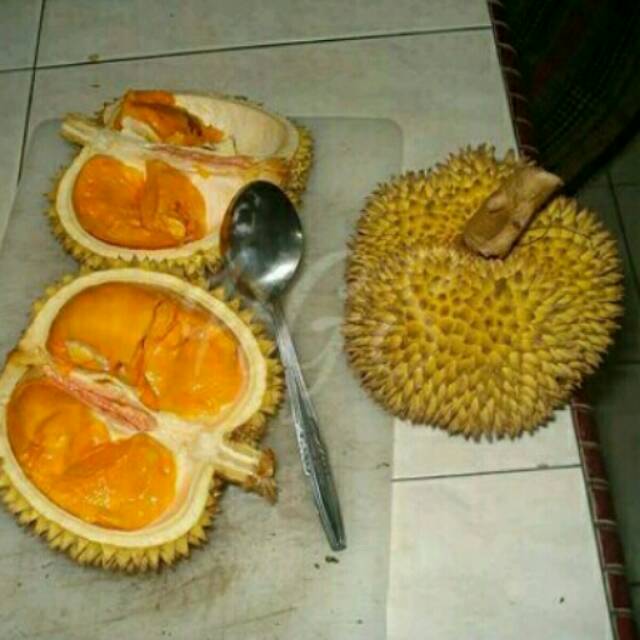 Unduh 8100 Koleksi Gambar Durian Kumbokarno Terbaru 