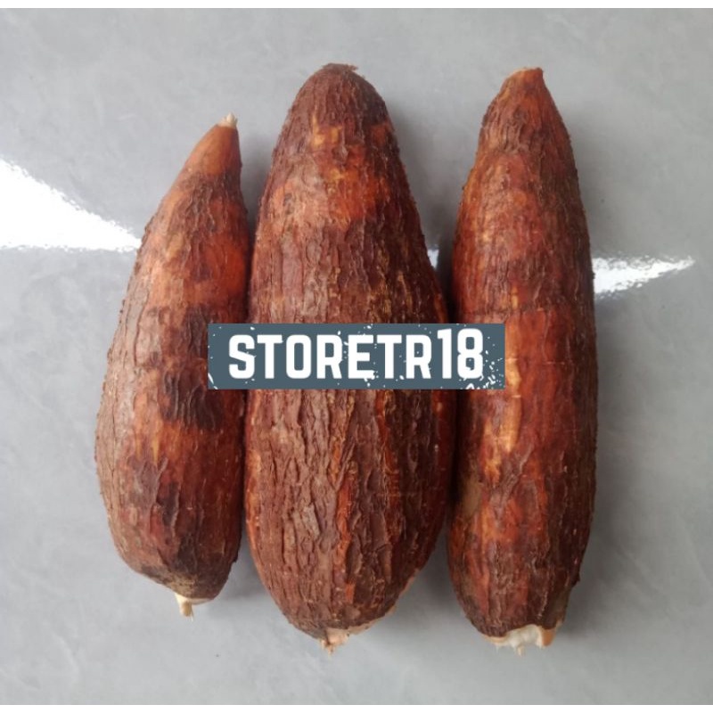 Singkong Racun Sapi Kuru / Singkong Genderewo Fresh 1 Kg