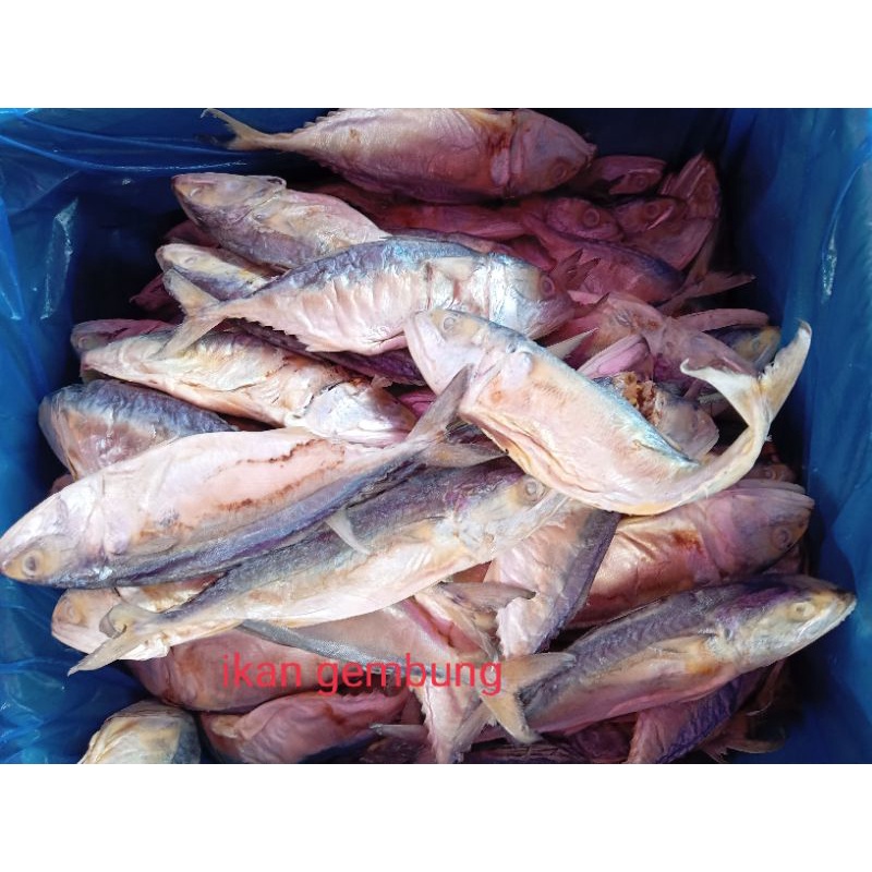 

ikan asin gembung