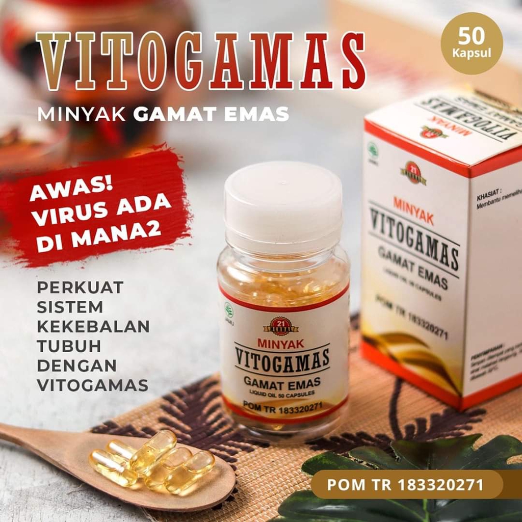 Kapsul Vitogamas Kapsul Minyak Gamat Emas Liquid Oil Herbal 21 Original Multi Khasiat Indonesia